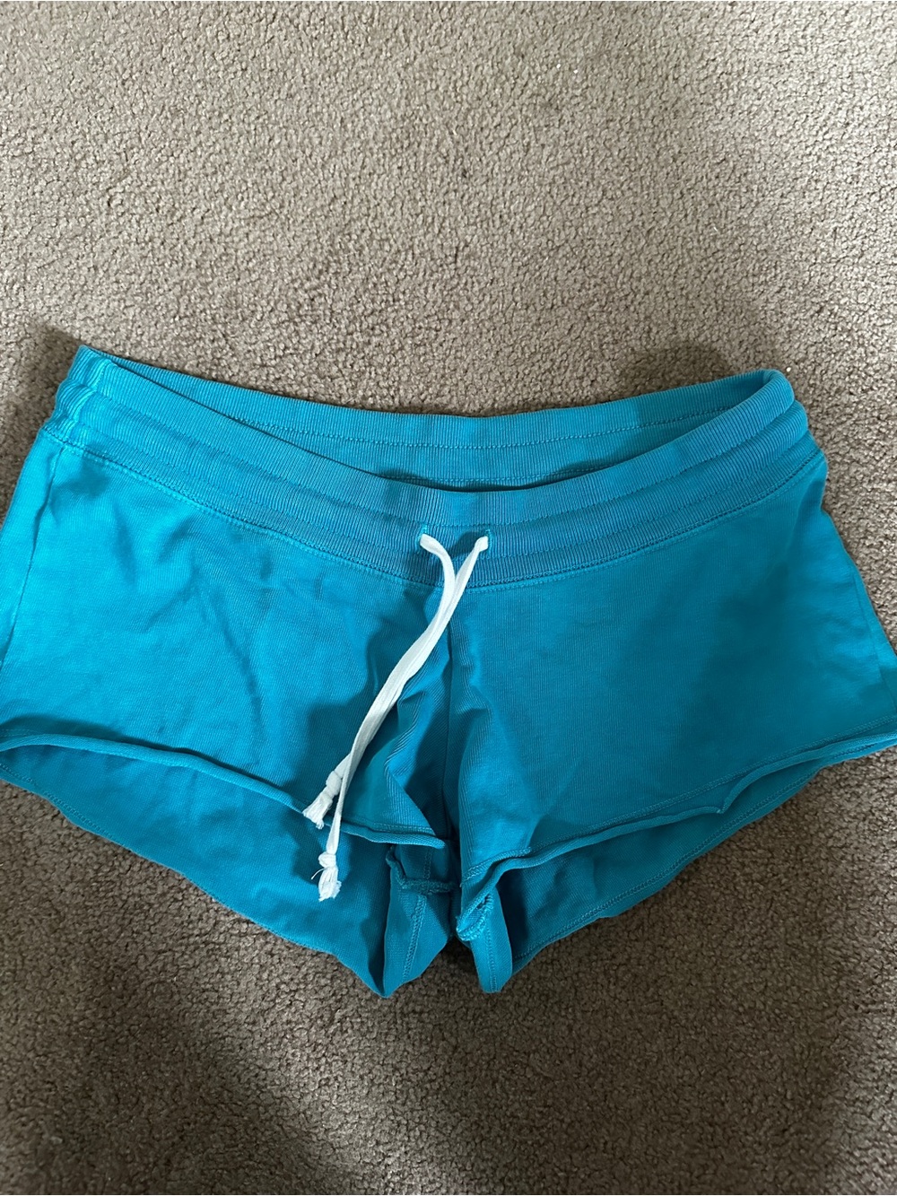 Brandy Melville Blue Mini Shorts